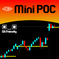 Mini POC