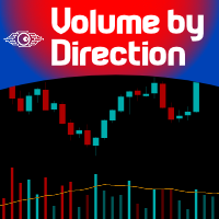 Volume by Direction